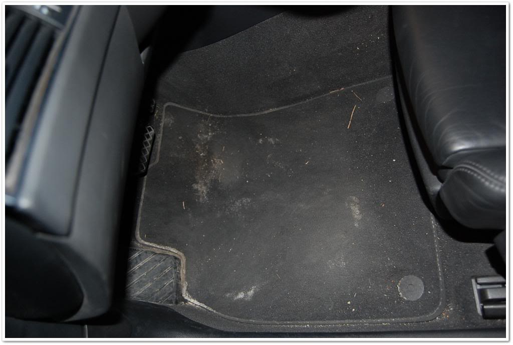 Name:  DSC_1868.jpg
Views: 141
Size:  68.0 KB