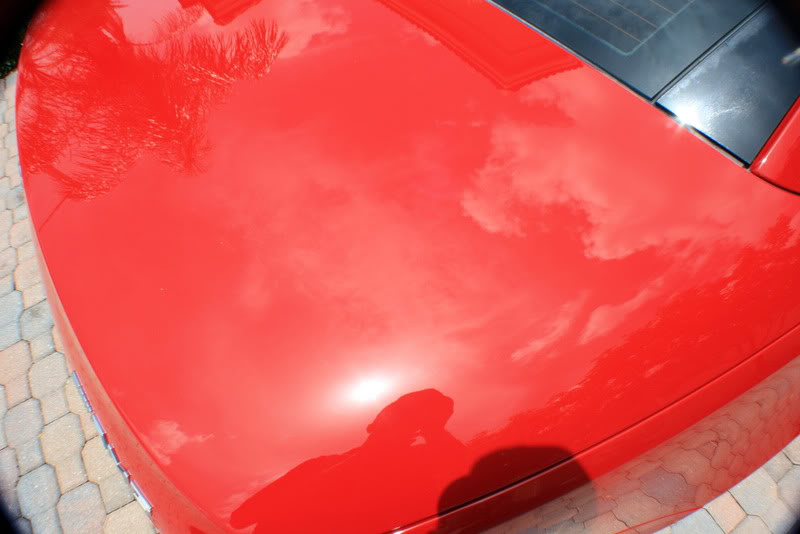 Name:  IMG_1424.jpg
Views: 126
Size:  57.5 KB