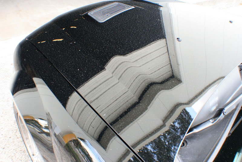 Name:  IMG_1087.jpg
Views: 72
Size:  97.4 KB