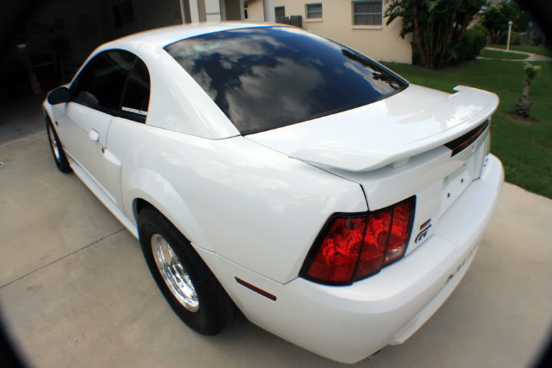 Name:  IMG_1062.jpg
Views: 100
Size:  63.8 KB