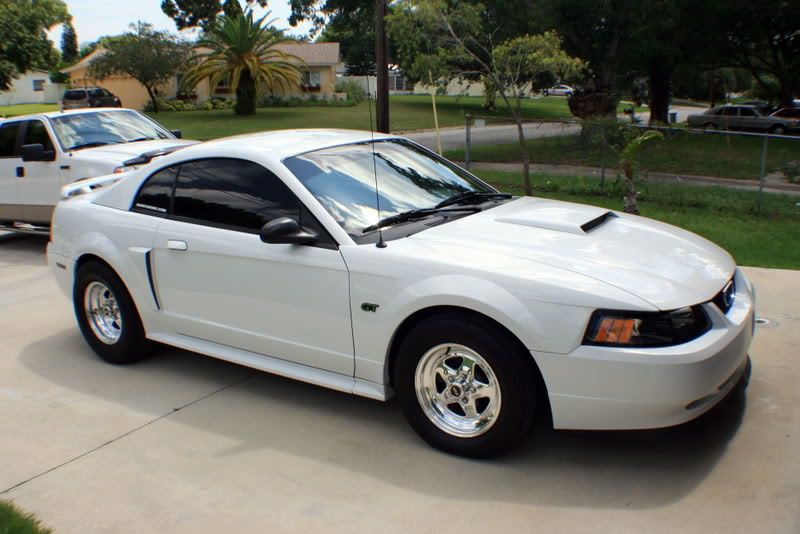 Name:  IMG_1076.jpg
Views: 37
Size:  89.1 KB