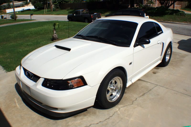 Name:  IMG_1048.jpg
Views: 38
Size:  81.6 KB