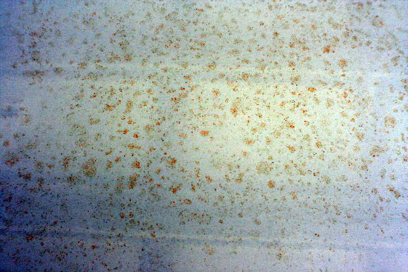 Name:  IMG_1030rev.jpg
Views: 44
Size:  148.4 KB