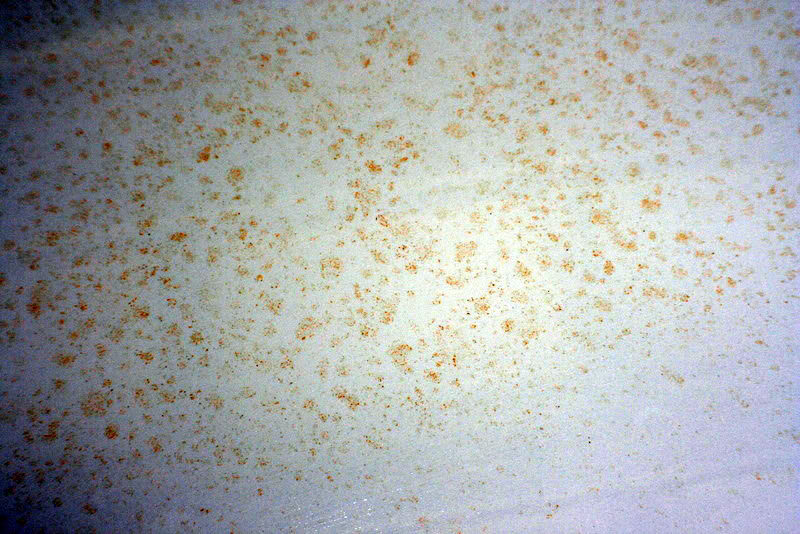 Name:  IMG_1032rev.jpg
Views: 50
Size:  121.3 KB