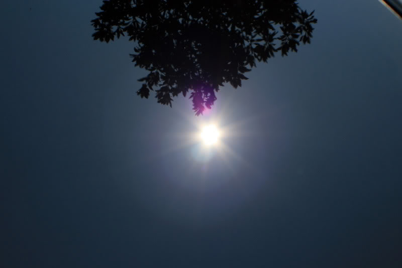 Name:  IMG_0527.jpg
Views: 340
Size:  29.4 KB