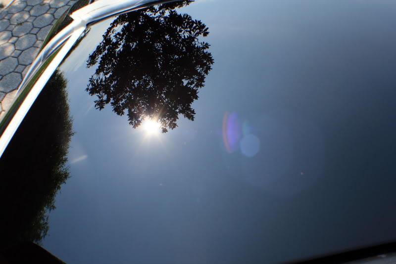 Name:  IMG_0529.jpg
Views: 368
Size:  58.3 KB