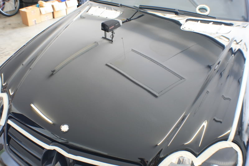 Name:  IMG_0795.jpg
Views: 317
Size:  65.7 KB