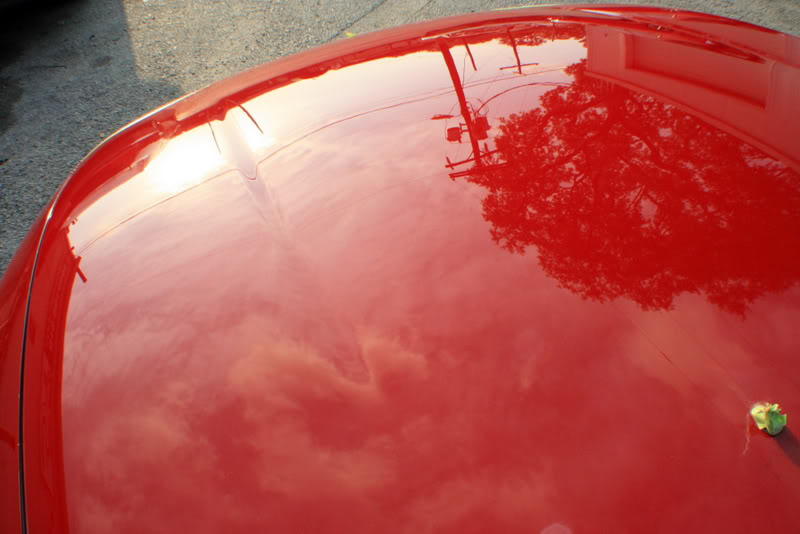 Name:  IMG_8949.jpg
Views: 49
Size:  57.3 KB