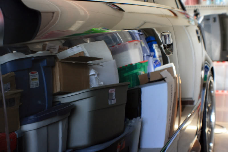 Name:  IMG_9260.jpg
Views: 47
Size:  54.9 KB