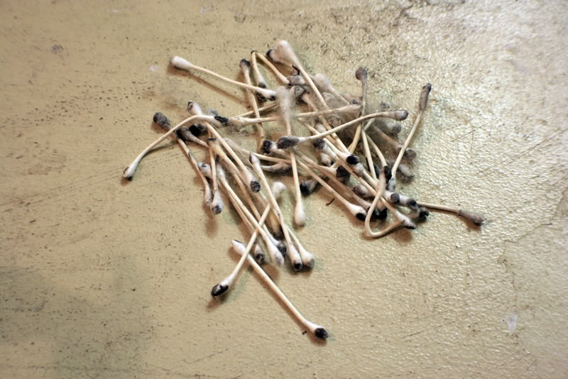 Name:  IMG_9051.jpg
Views: 109
Size:  100.9 KB