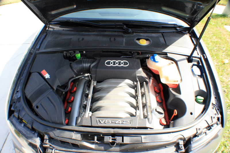 Name:  IMG_8996.jpg
Views: 439
Size:  98.3 KB