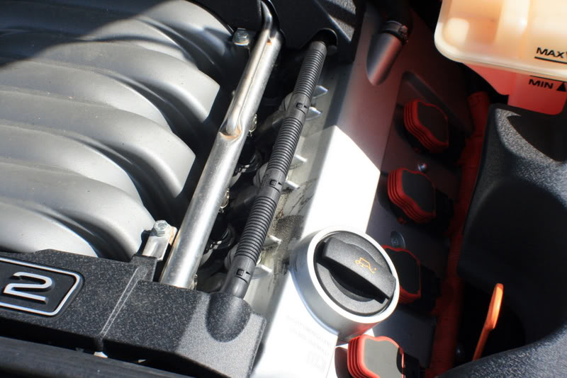 Name:  IMG_8997.jpg
Views: 128
Size:  77.1 KB