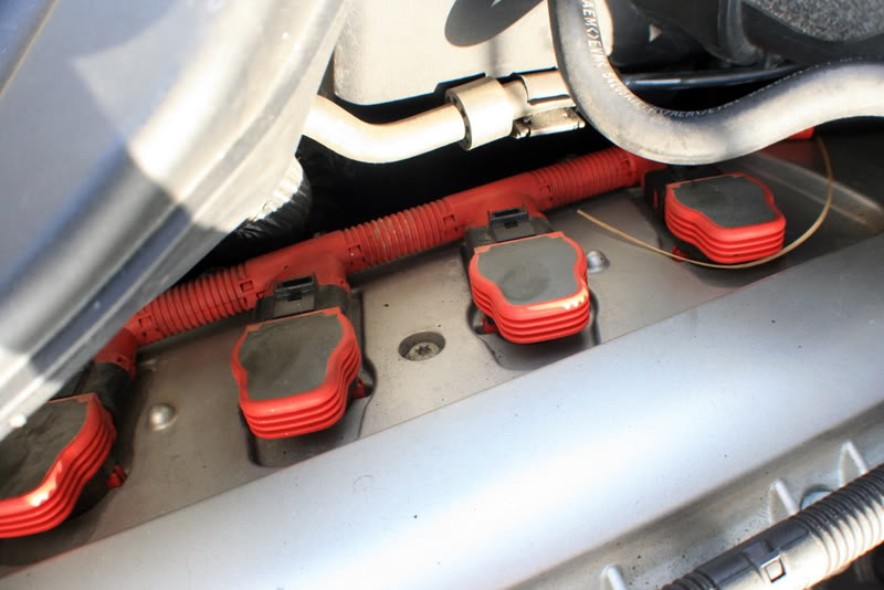 Name:  IMG_9007.jpg
Views: 100
Size:  62.9 KB