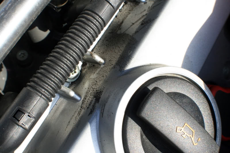 Name:  IMG_9008.jpg
Views: 146
Size:  86.2 KB