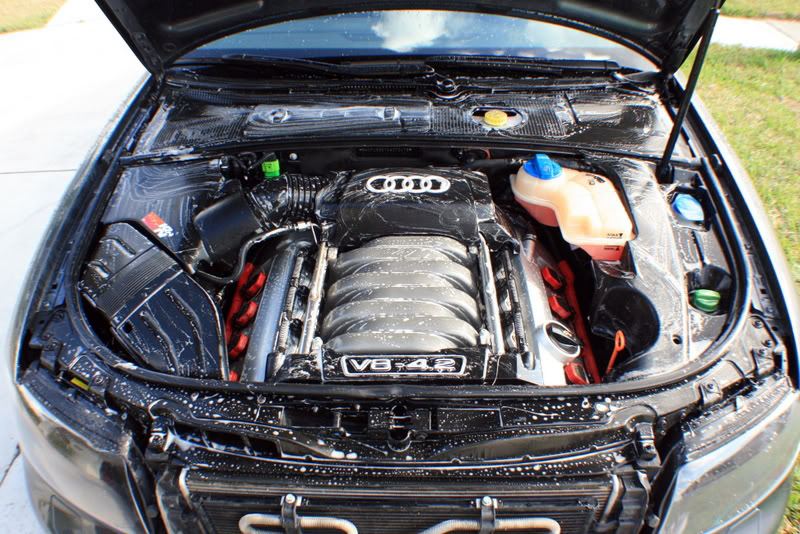 Name:  IMG_9009.jpg
Views: 123
Size:  144.5 KB