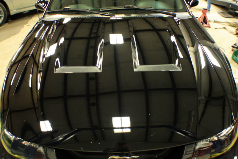 Name:  IMG_8877.jpg
Views: 86
Size:  73.5 KB