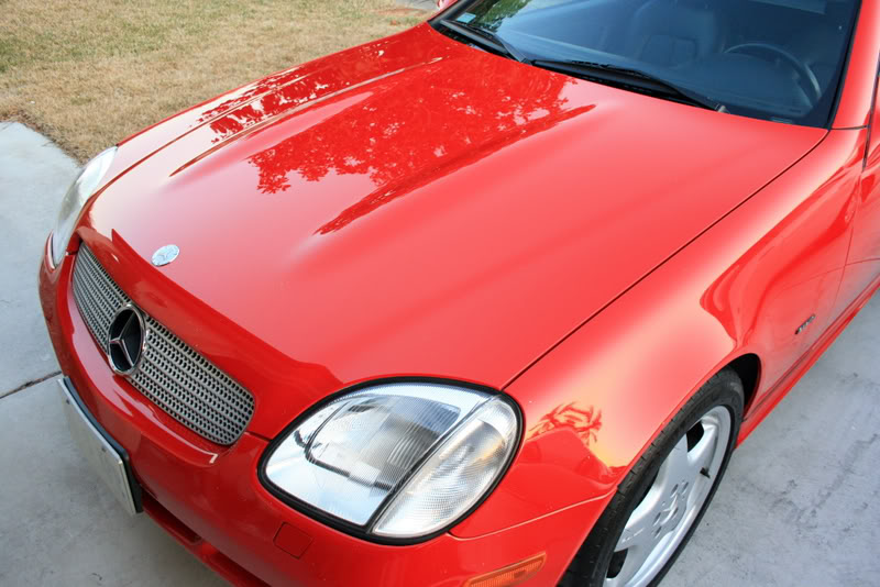 Name:  IMG_8533.jpg
Views: 47
Size:  87.4 KB