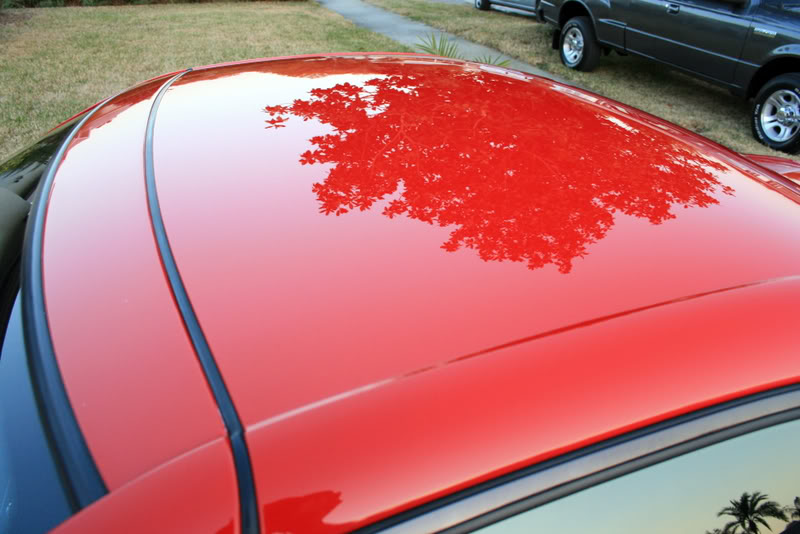 Name:  IMG_8534.jpg
Views: 51
Size:  73.1 KB