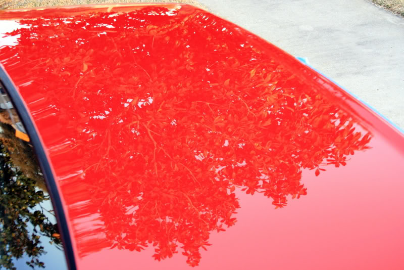 Name:  IMG_8453.jpg
Views: 49
Size:  89.3 KB