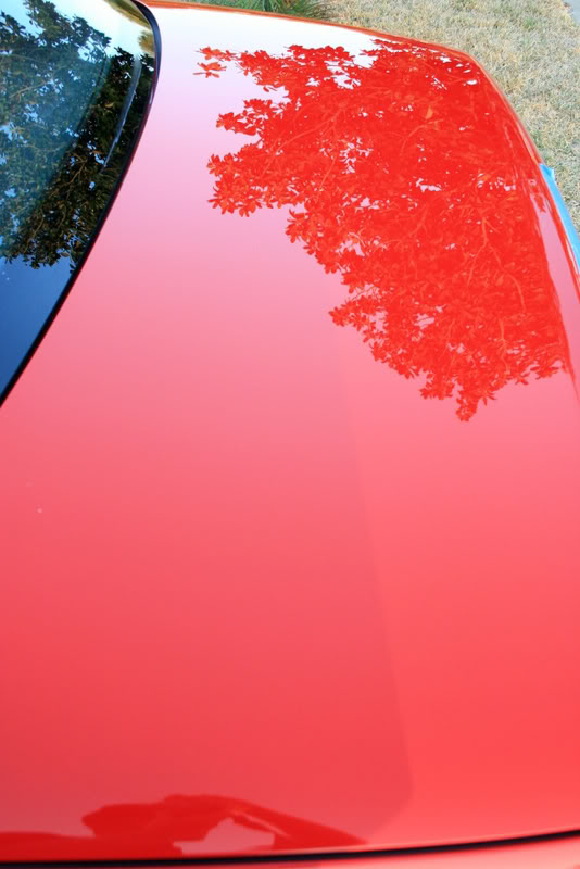 Name:  IMG_8454.jpg
Views: 60
Size:  64.8 KB