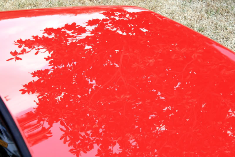 Name:  IMG_8507.jpg
Views: 55
Size:  86.6 KB