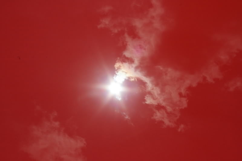 Name:  IMG_8513.jpg
Views: 63
Size:  23.4 KB