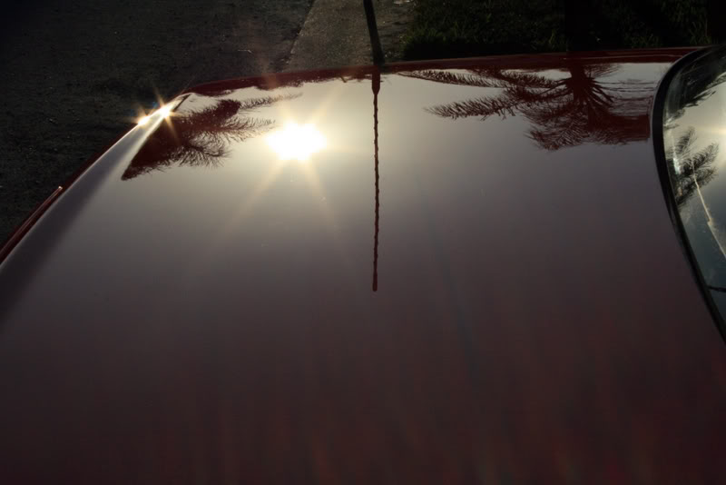 Name:  IMG_8529.jpg
Views: 46
Size:  41.6 KB