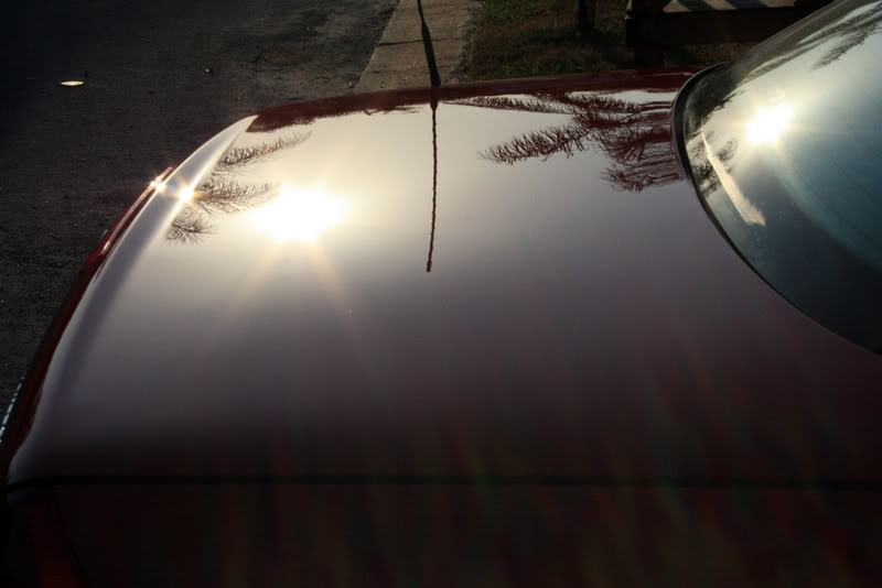 Name:  IMG_8530.jpg
Views: 76
Size:  45.3 KB