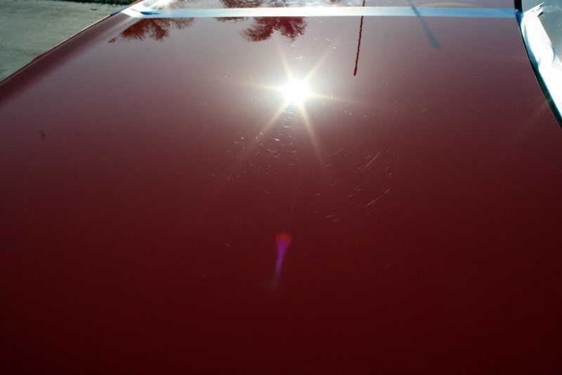 Name:  IMG_8431-1.jpg
Views: 65
Size:  30.3 KB