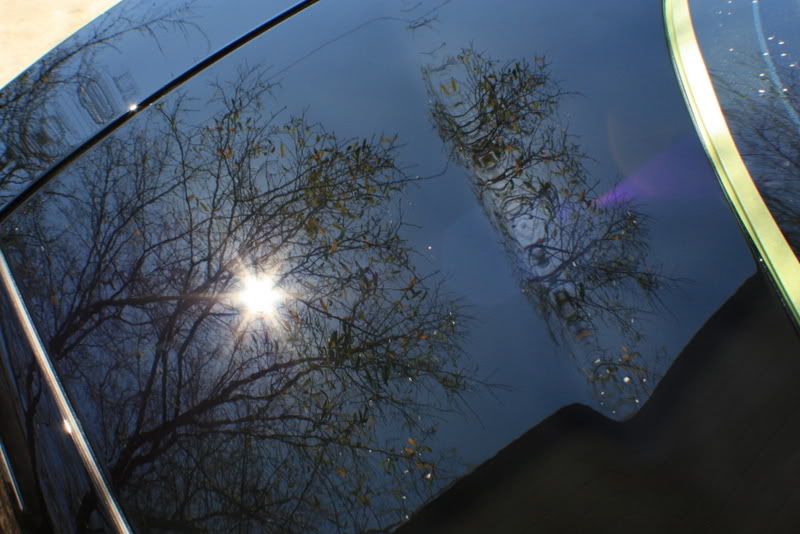 Name:  IMG_7972.jpg
Views: 132
Size:  77.4 KB