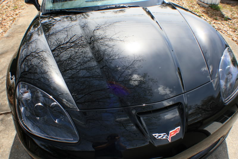 Name:  IMG_7995.jpg
Views: 145
Size:  98.2 KB