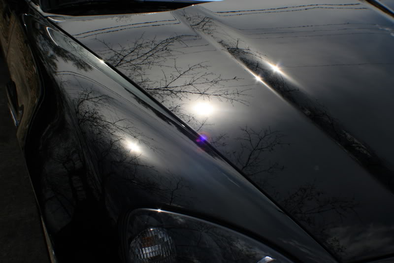 Name:  IMG_7996.jpg
Views: 95
Size:  53.7 KB