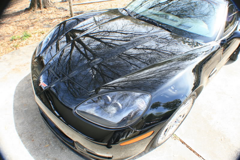 Name:  IMG_8010.jpg
Views: 126
Size:  124.1 KB