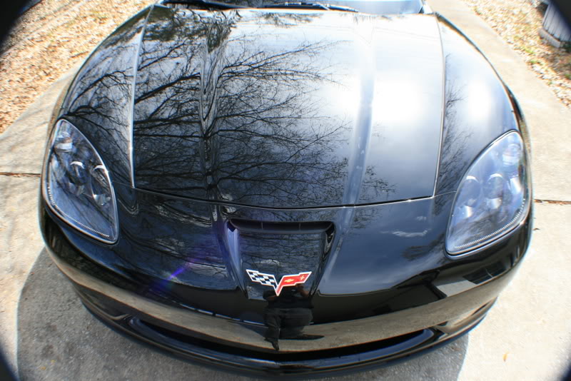 Name:  IMG_8011.jpg
Views: 121
Size:  101.3 KB