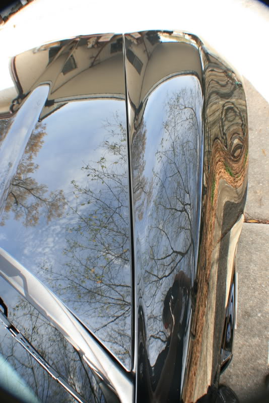 Name:  IMG_8016.jpg
Views: 136
Size:  95.6 KB