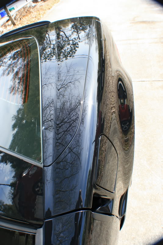 Name:  IMG_8018.jpg
Views: 130
Size:  92.4 KB