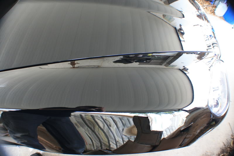 Name:  IMG_7984.jpg
Views: 135
Size:  59.2 KB