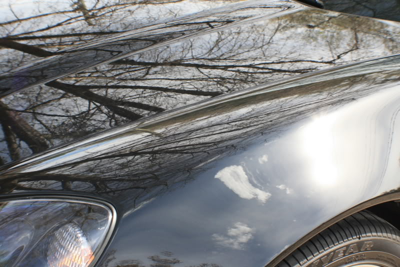 Name:  IMG_7992.jpg
Views: 176
Size:  99.8 KB