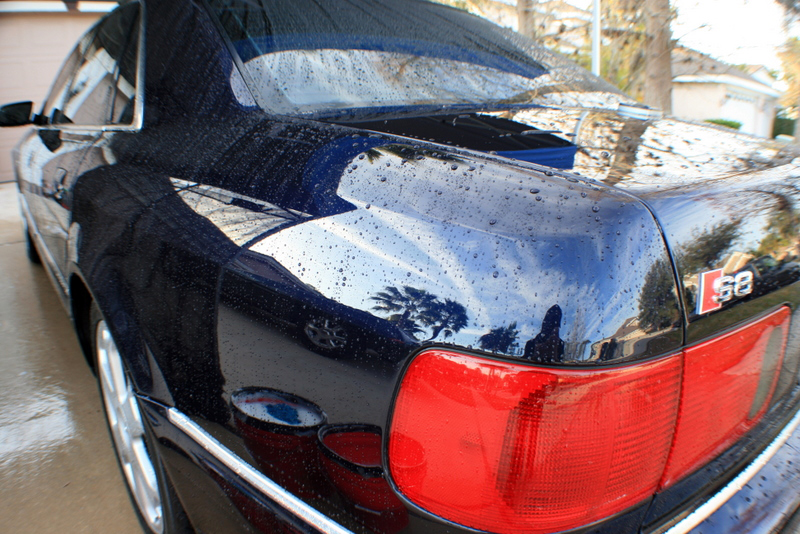 Name:  IMG_7792.jpg
Views: 131
Size:  433.6 KB