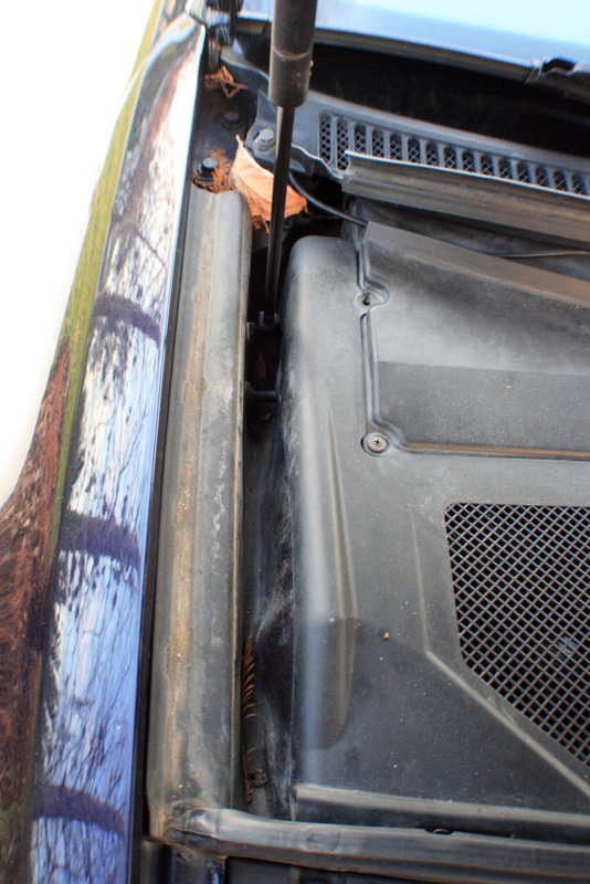 Name:  IMG_7552.jpg
Views: 135
Size:  391.5 KB