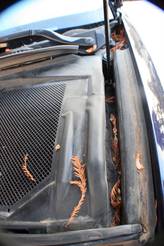 Name:  IMG_7547.jpg
Views: 136
Size:  423.7 KB