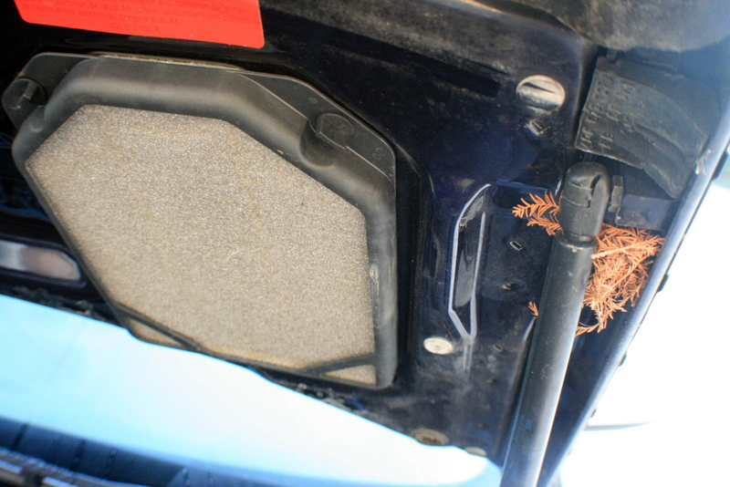 Name:  IMG_7548.jpg
Views: 141
Size:  332.2 KB