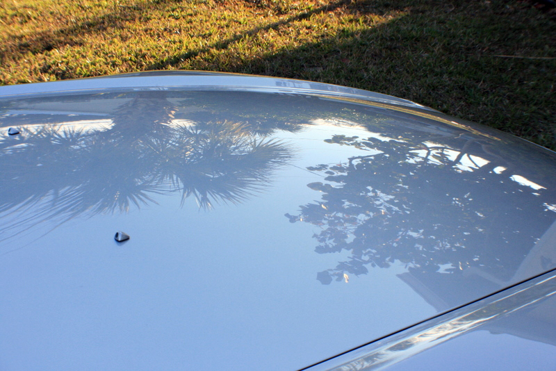 Name:  IMG_7195.jpg
Views: 53
Size:  375.7 KB