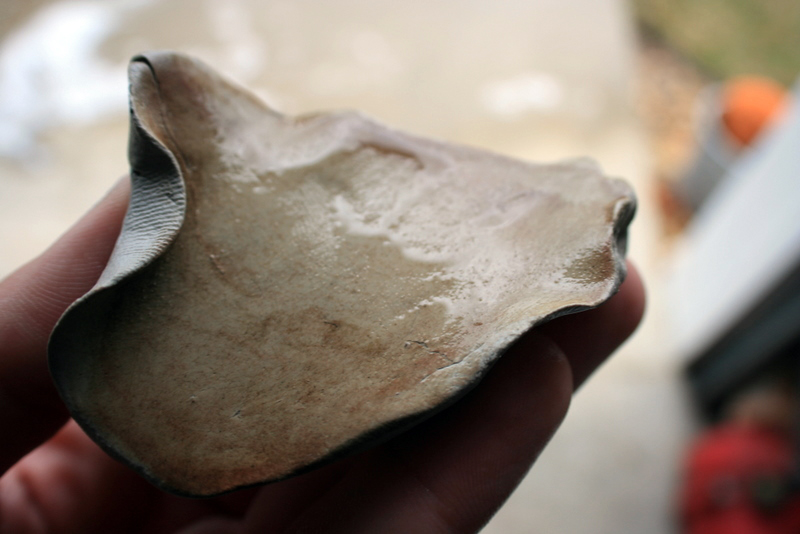 Name:  IMG_7089.jpg
Views: 83
Size:  203.7 KB