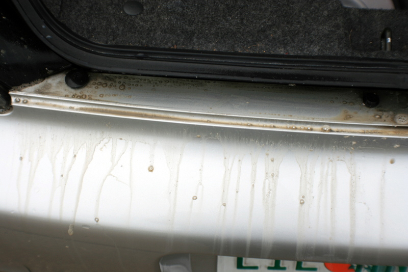 Name:  IMG_7097.jpg
Views: 45
Size:  223.9 KB