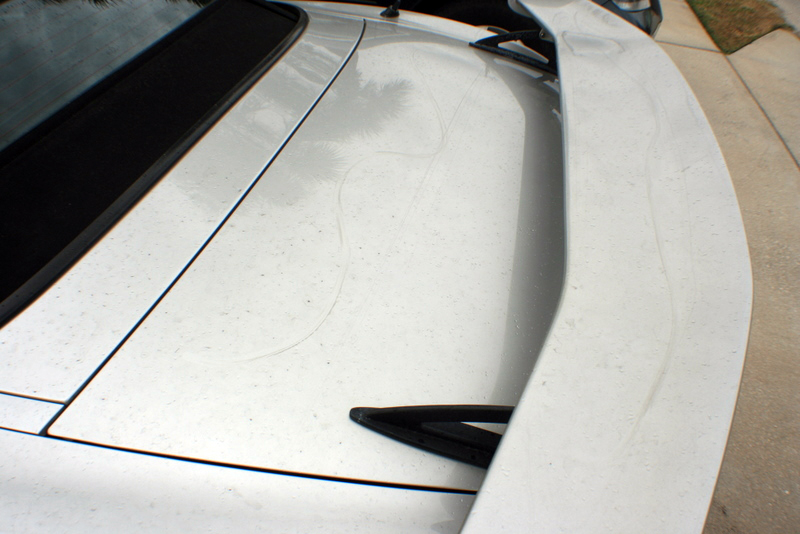 Name:  IMG_7068.jpg
Views: 56
Size:  256.4 KB