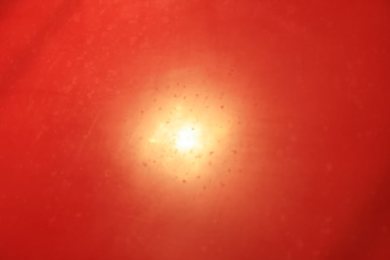 Name:  IMG_6603.jpg
Views: 110
Size:  23.3 KB