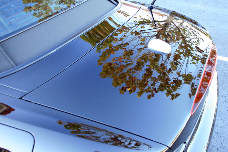 Name:  IMG_6420.jpg
Views: 153
Size:  422.7 KB