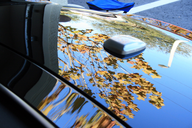 Name:  IMG_6408.jpg
Views: 144
Size:  414.6 KB