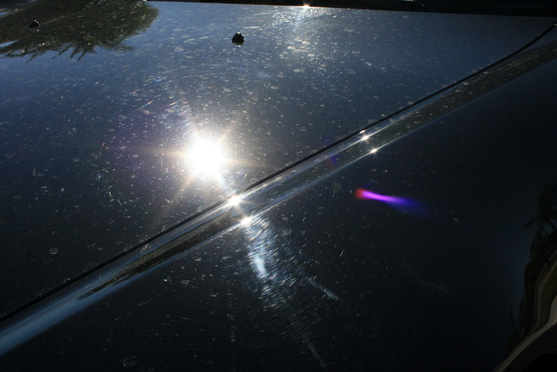 Name:  IMG_5351.jpg
Views: 156
Size:  280.2 KB